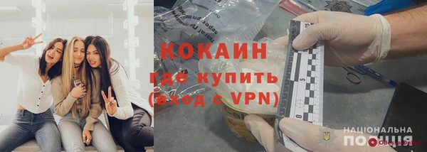 стаф Корсаков