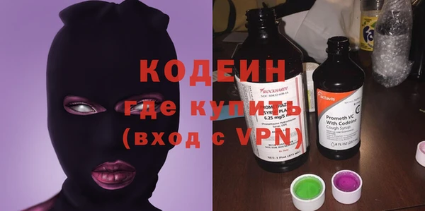 стаф Корсаков