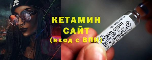 стаф Корсаков