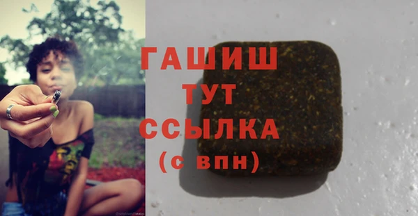 стаф Корсаков