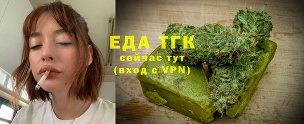 стаф Корсаков