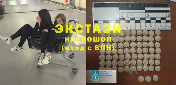стаф Корсаков