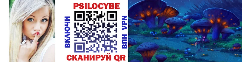 Купить где  Красновишерск  Галлюциногенные грибы Cubensis 